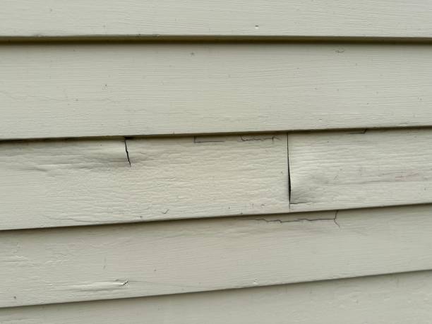 Best Wood Siding Installation  in Lyons, KS